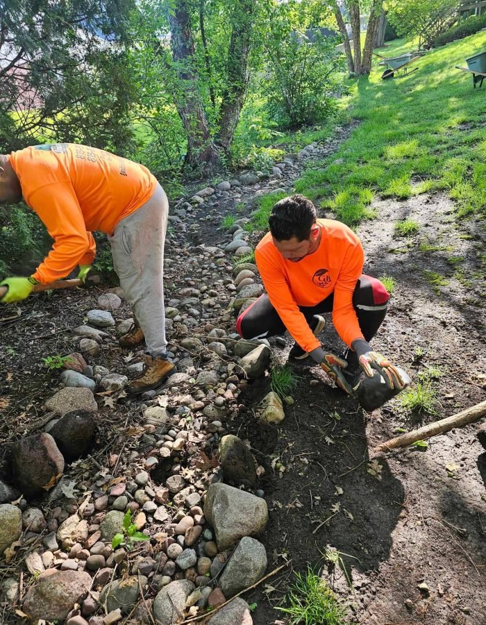 03af11ef-f044-4199-8d0d-627a7aa0e50d