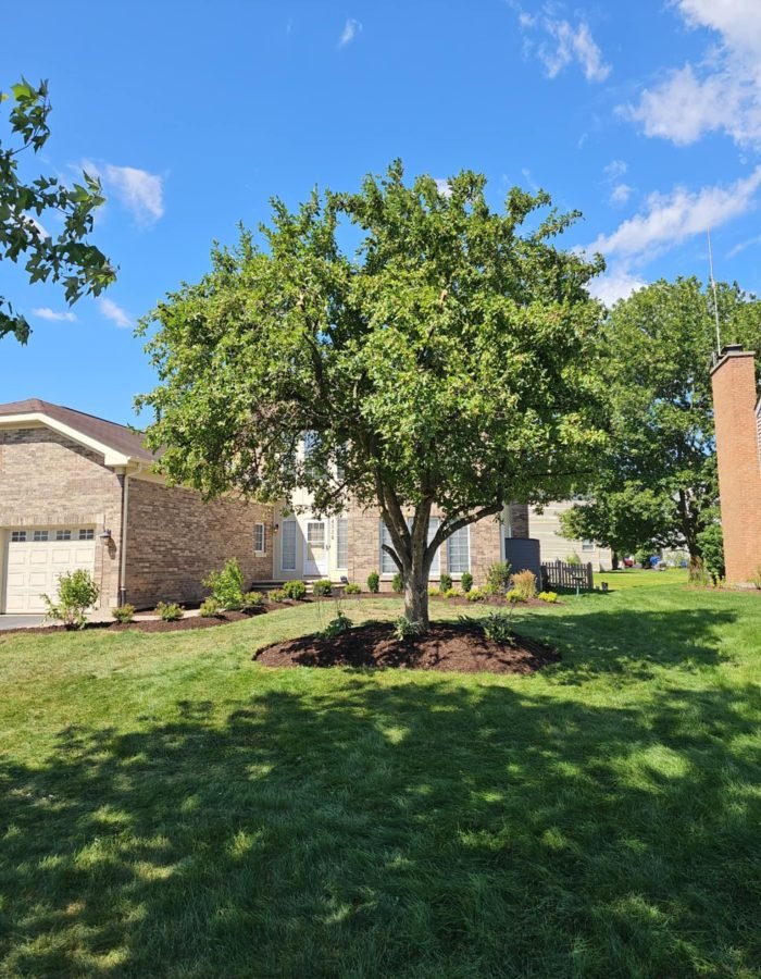 0ef8a020-3b7a-4892-96b7-178f9bc5df2d