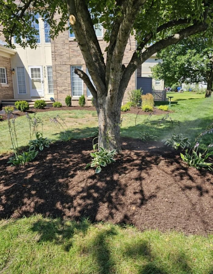 2b8481c2-0418-4d06-9683-b54ca0950799