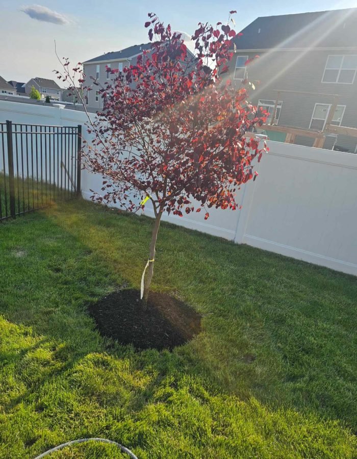 2eec334d-6999-4e8c-8b84-f4b3b20e0b47