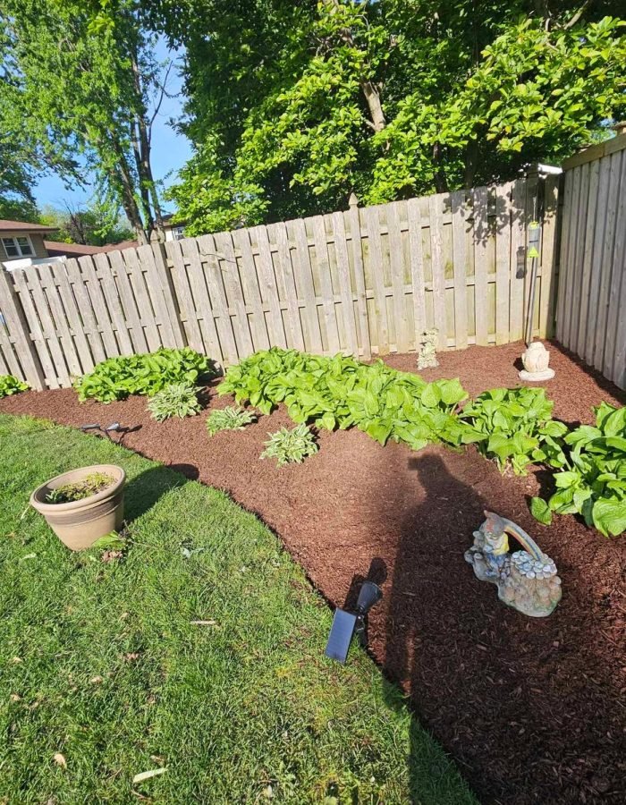 2fc1c292-10ee-4499-b427-b98b13852ef3