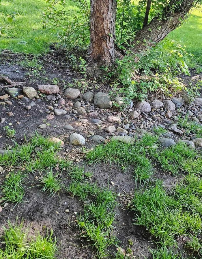 32a00d2c-6a87-4fbd-981c-156bdc5afb60