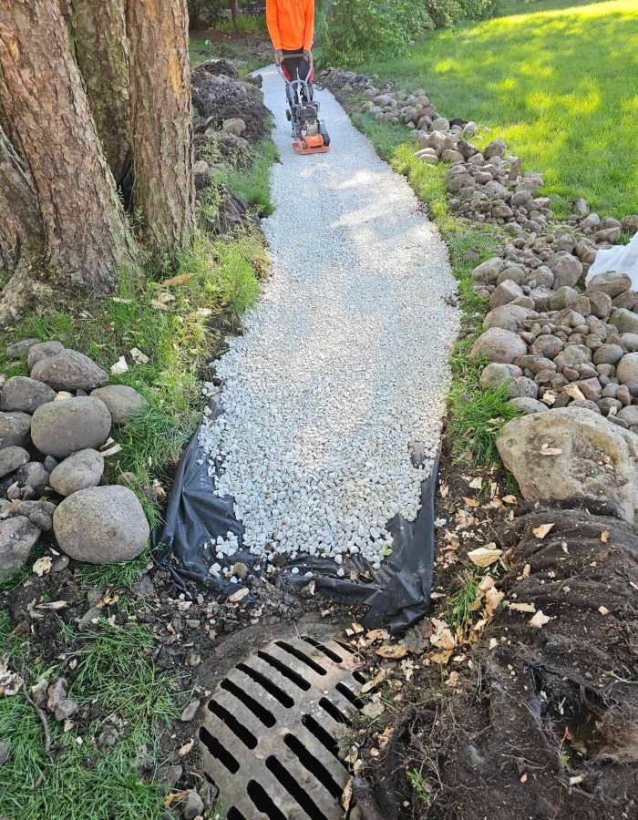 370f9003-b1a3-4220-bed5-782496eb7872