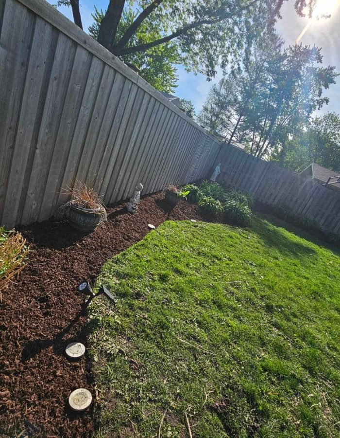 38dea4a4-3999-4325-add3-33ae6c527d83