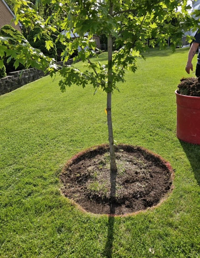 3b5749ee-bfad-4ccb-874b-4445203d687b