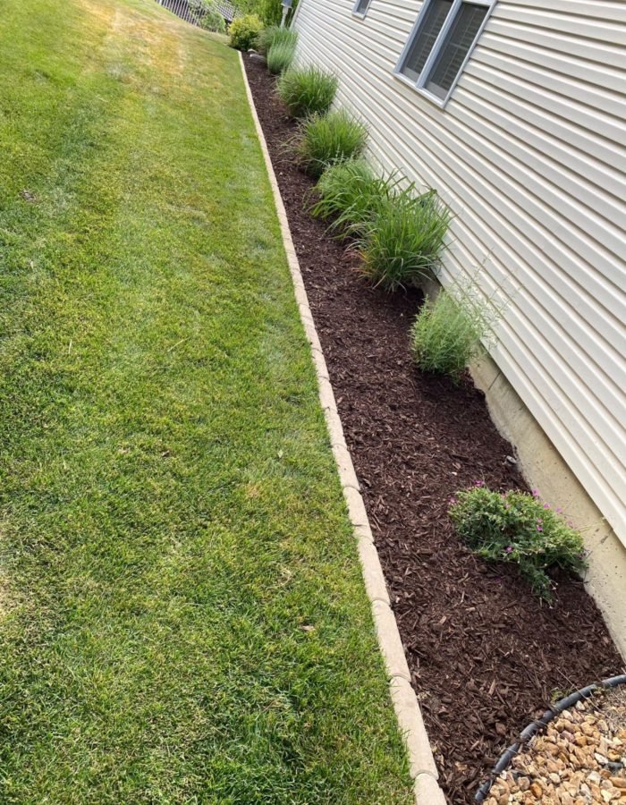 40ae3683-16ef-4494-b2ef-a7612f53a8f8