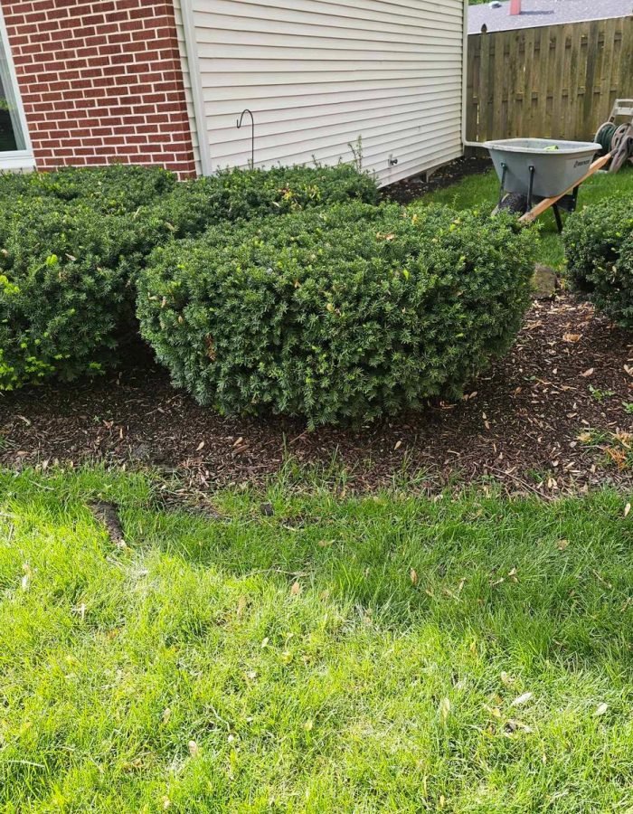 42ee3400-53da-4e5e-9d78-2c5d4f069bd9