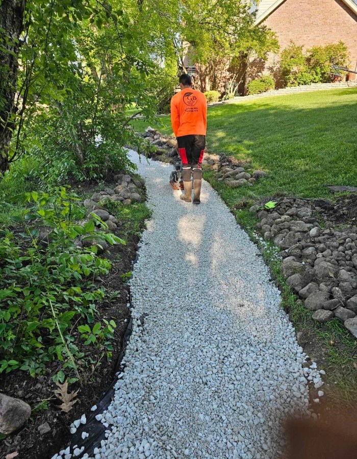 44985854-a226-4074-a676-23a341848215