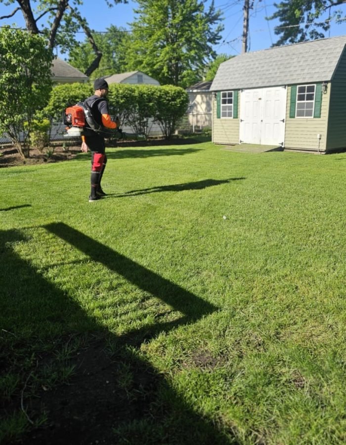 44cfa849-e96a-4511-8567-2f7391e4f59d