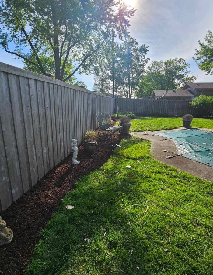 477d882a-ce9e-4024-b503-2a2e04aac2b8