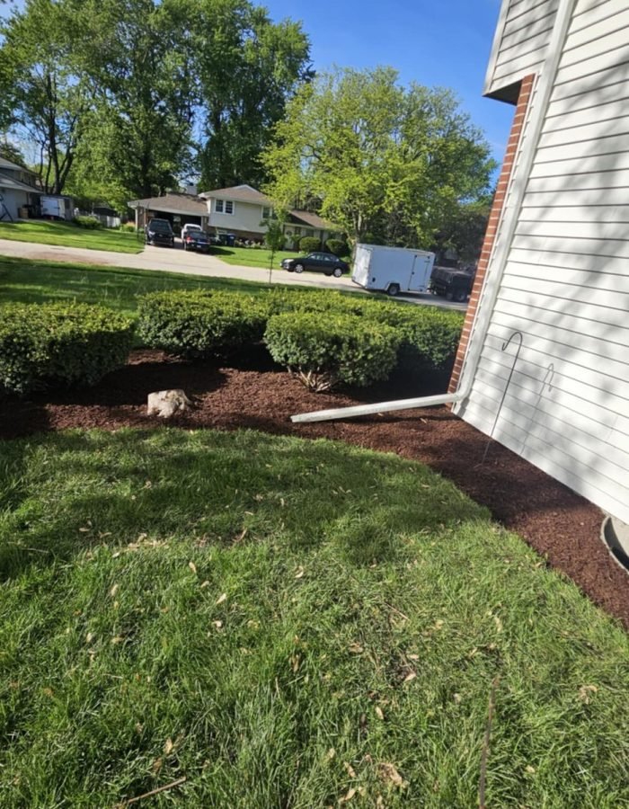 55c320b4-b79d-4f13-9f20-72d95f89277e