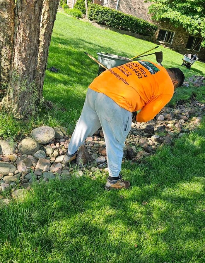 5611ac25-c247-4ec9-9355-c6a5b78e6e06