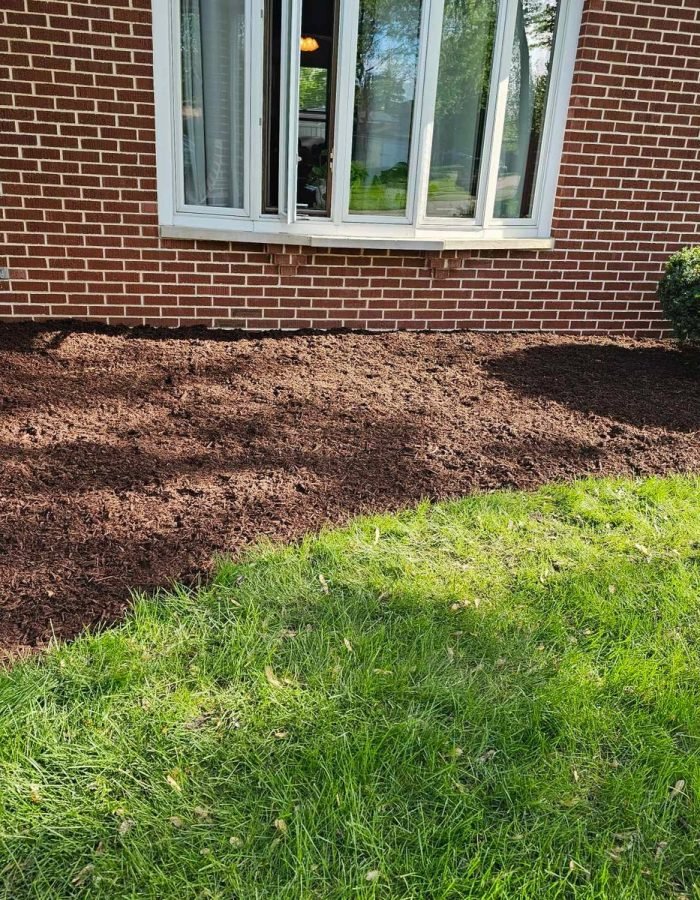 57be9470-ea65-41e2-ae88-990867617fbf