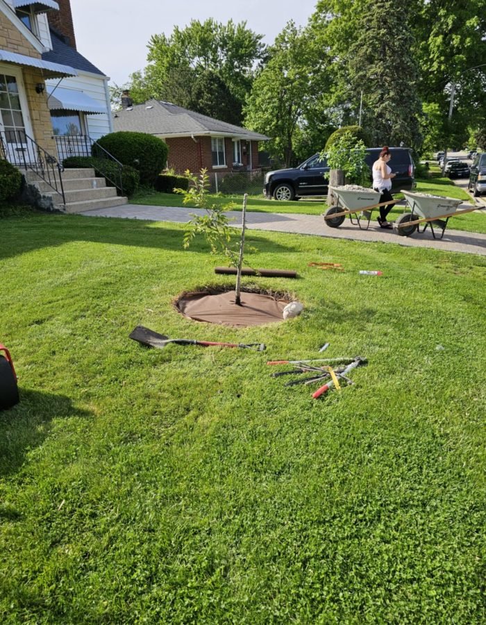 5d25953d-f44d-4566-b999-2d5bc7d36252