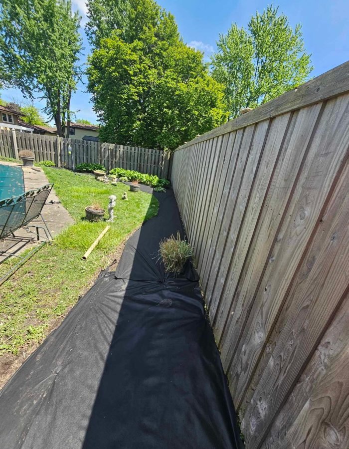 5e22712c-459d-467e-85a5-a46ddc292ff0