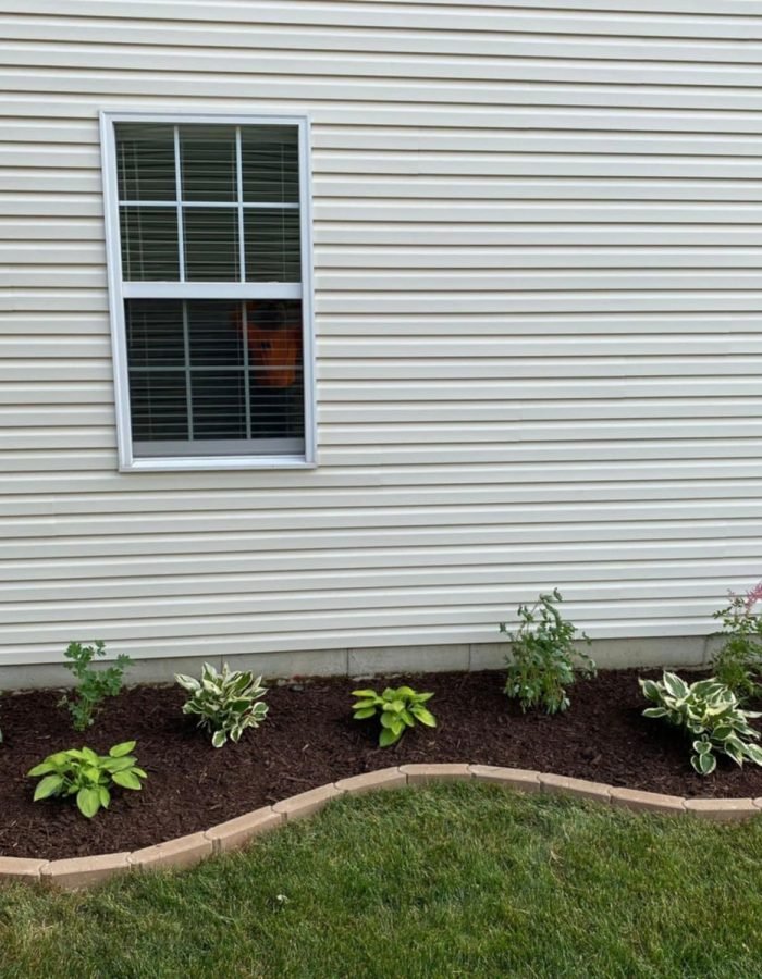 60a7c024-f1a8-41bc-a869-c53d572724a2