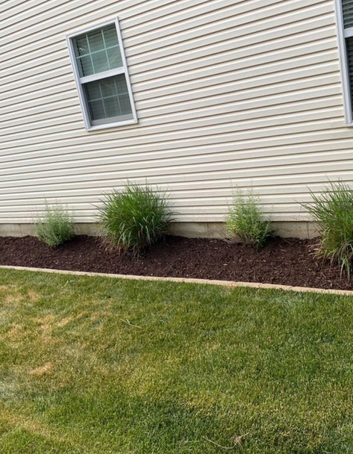 698da306-cec0-4a4c-aadd-3f0d0385d7de