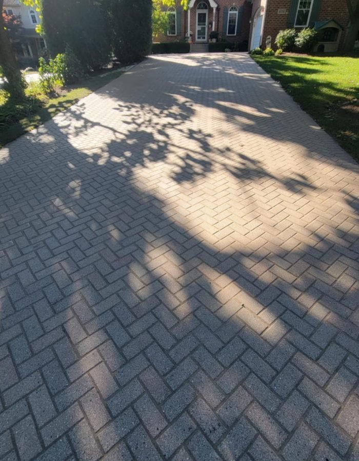 6e5b281d-d2e9-4c3e-b79d-5016d396c365