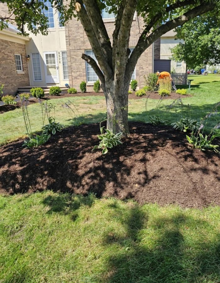 6f123f02-f91d-46d5-8879-428ccb56b8e6