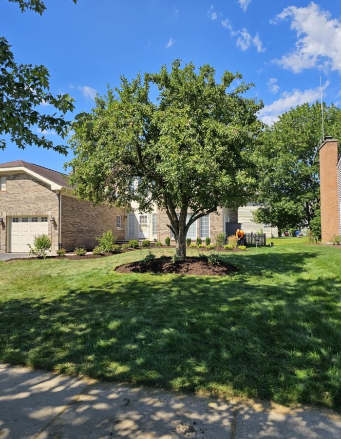 70caf6d7-2db3-4d64-ae97-1aa6a0103a75