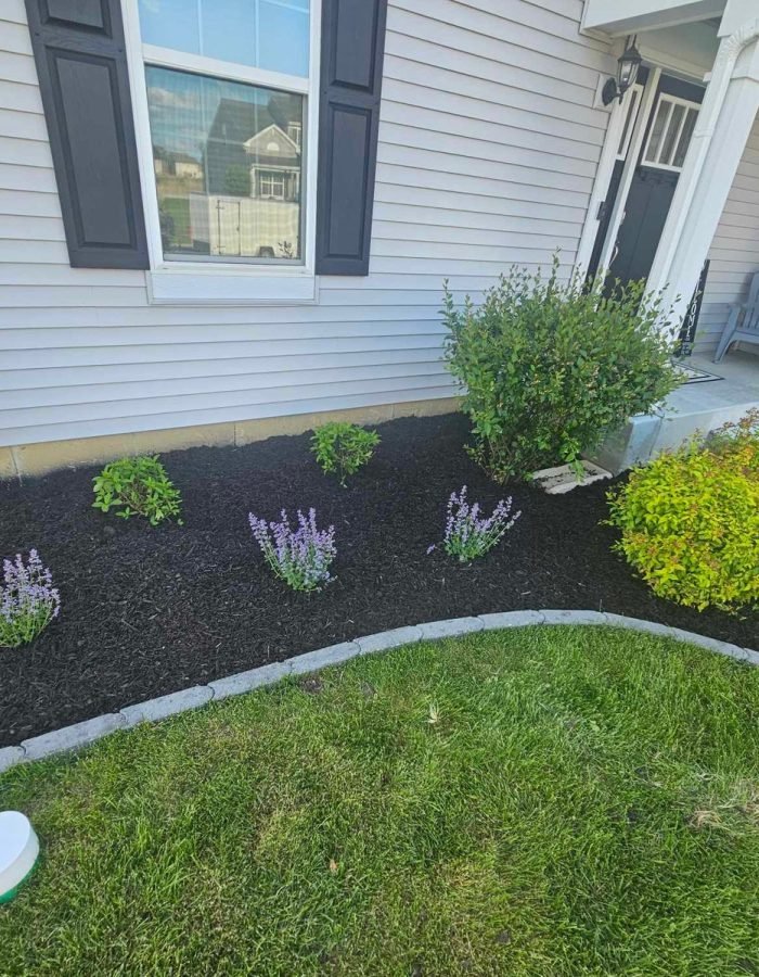 7451cae0-2721-4ad1-a8e8-8b2d0d41bb34