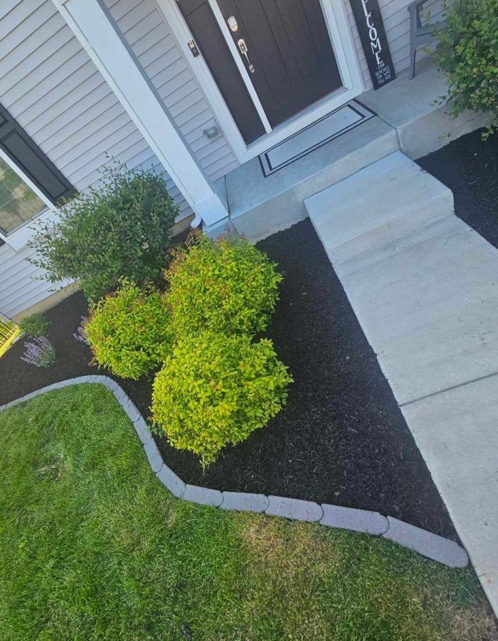 75973e81-adad-4f07-b2e3-6b58f61ceff1