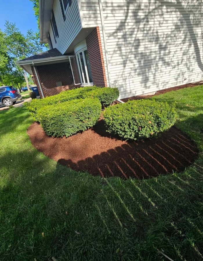 7cde04ba-ed43-4197-8819-25079171505e