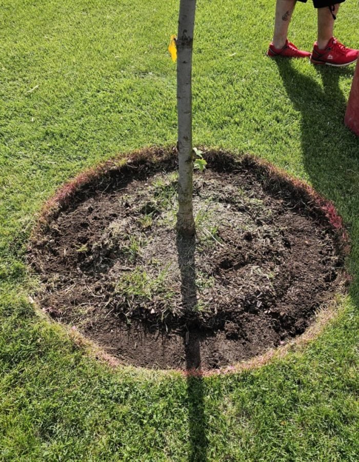 94ff8151-b58a-4ccd-a3b9-eea5cba2aca6