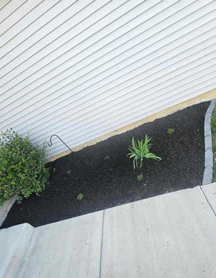 9a7209ee-f60b-45af-b421-1345bbb881d1