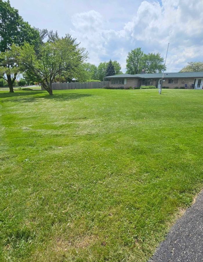 9bdf3352-c192-46d3-bd04-ce90628b87eb