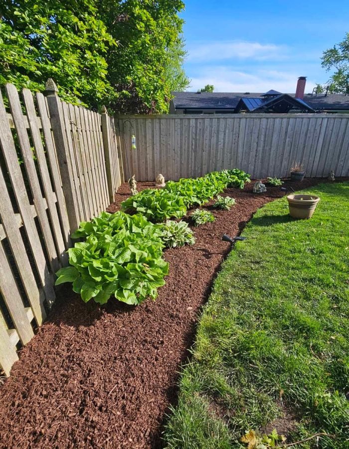 a633c6d5-a7ee-4c92-a003-279ff173a9a3