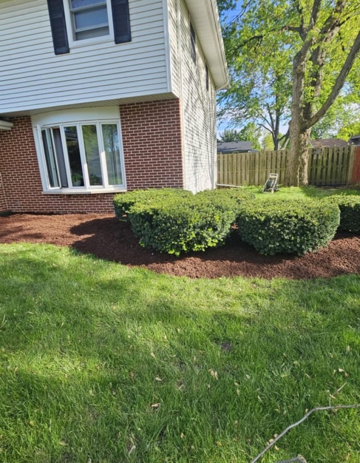 a966eabf-41d0-480c-b59c-6a61536c3b66