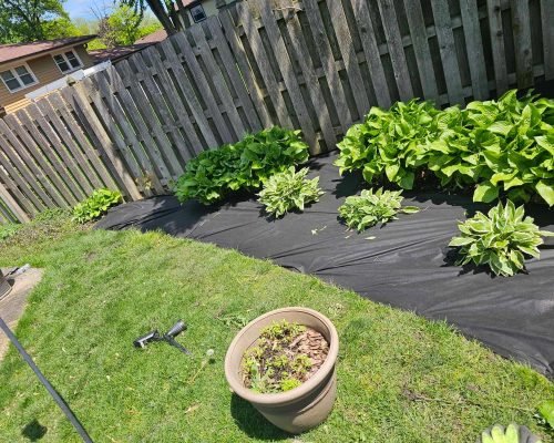 b36e270d-5f4e-4149-9791-419ceb308758