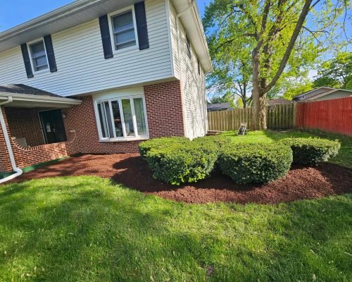 b807625d-a964-4680-96bd-b45030184119