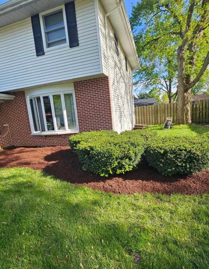 b807625d-a964-4680-96bd-b45030184119