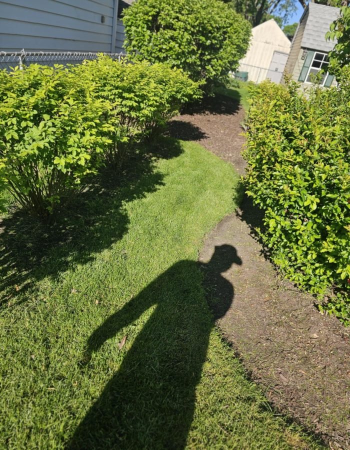 bb3ab431-3985-4e6c-9635-19043d0528d4