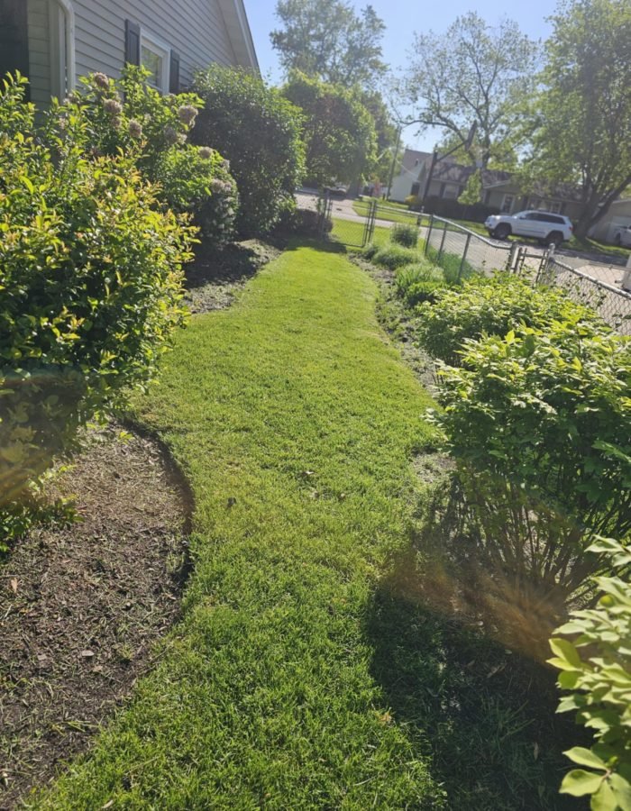 bb4f759d-994b-40bf-bc10-392f576d29dd