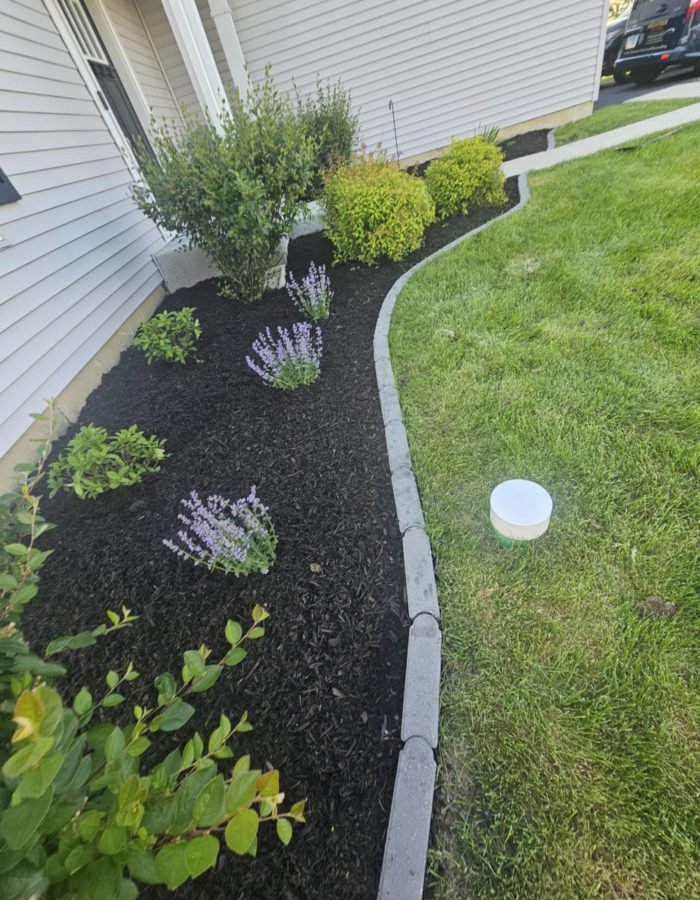 bd600421-b6f4-4424-b023-5a3e21f9dc6a