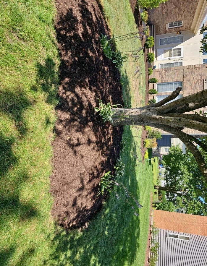 c1e02d31-4e98-4876-9c03-8ec98495f510