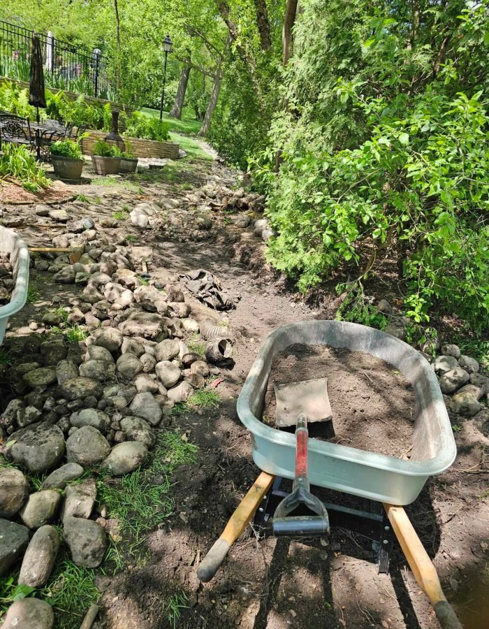 c2245378-8681-4eef-9712-3858d09b080f