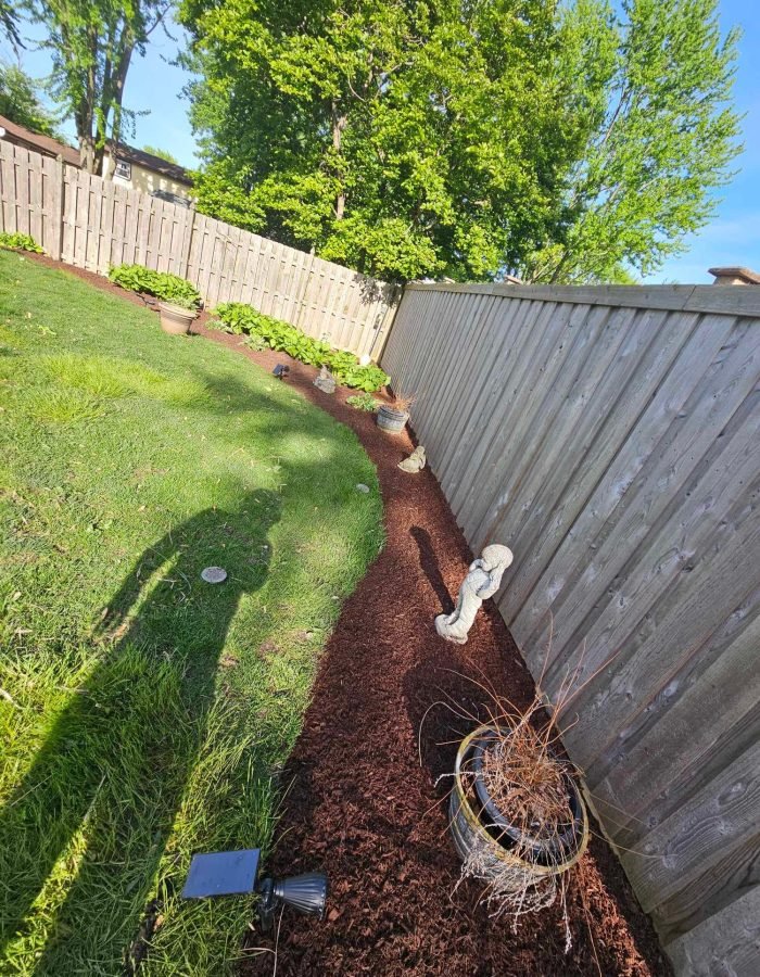 c3393c2f-d1de-425d-b98e-1ca9c725f916