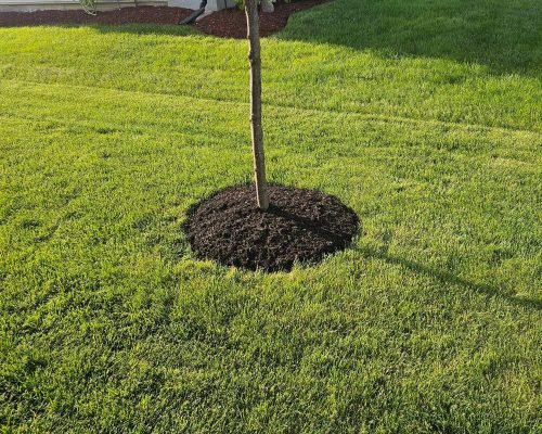 c3e030a1-8501-4c97-b820-6708e8a370bb