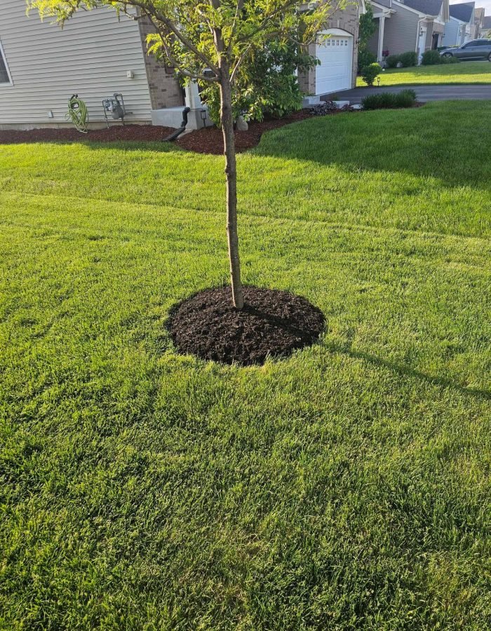 c3e030a1-8501-4c97-b820-6708e8a370bb