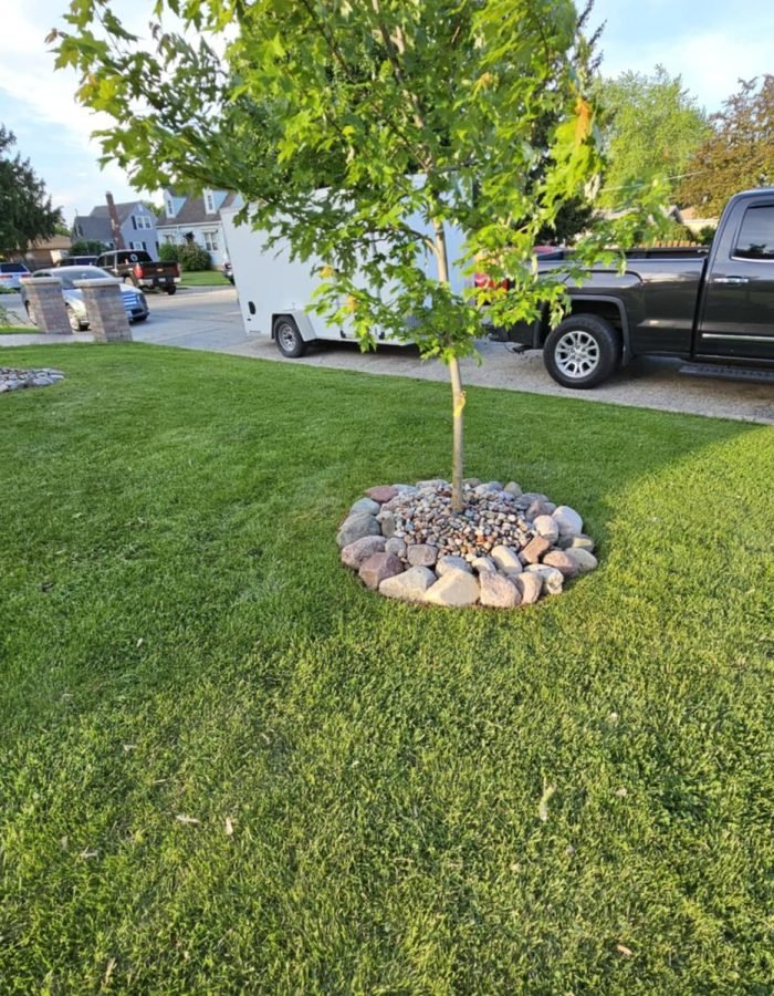 d2afd6b4-027d-4e22-a7ae-61d4b44c6511