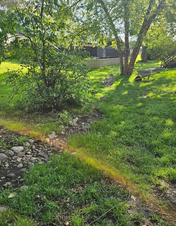 d74c31aa-1620-41a6-9339-790d47b899d5