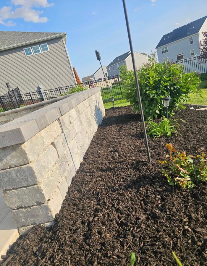 db774727-7f29-43c8-8002-205009ef3992