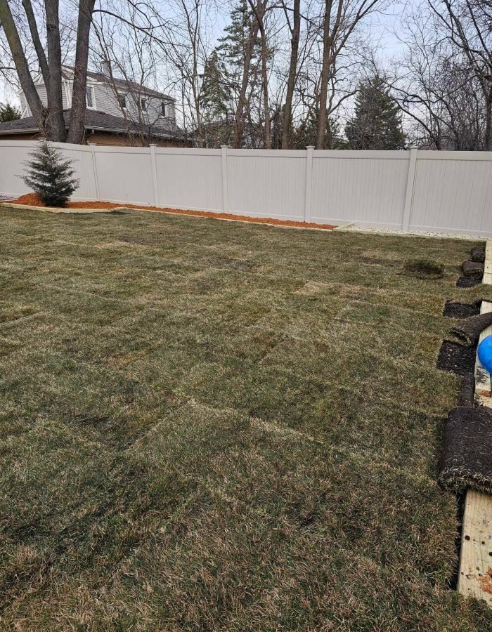 e05aae5d-8c1e-48ee-b0ac-bab7e4f3691c