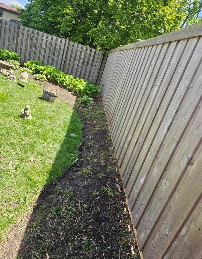 e3be9ac7-409f-45c9-aae1-d650e70e0c77