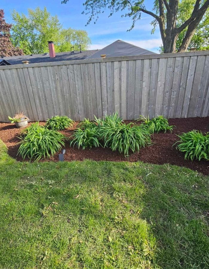 eb04f036-e2aa-45c6-b65a-a1a1386cec1a