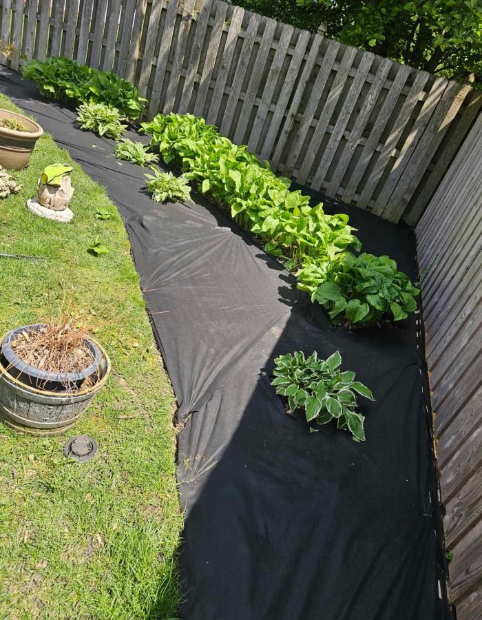 ed51b1a7-3e54-4045-9fc5-89edf38da0d3